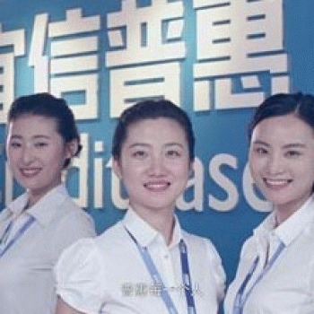 宜信普惠信息咨询（北京）有限公司桂林分公司招聘：公司标志 logo