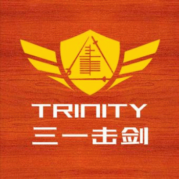 广西三一击剑体育俱乐部有限公司招聘：公司标志 logo