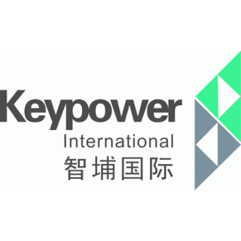 智埔国际工程咨询有限公司柳州分公司招聘：公司标志 logo