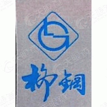 柳州市强实科技有限公司招聘：公司标志 logo