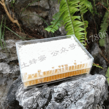 桂林小柔蜜满园农产品商贸有限公司招聘：公司标志 logo