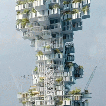 广西万策房产有限公司招聘：公司标志 logo