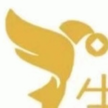 【圆通道衍信息】广西圆通道衍信息科技有限公司招聘：公司标志 logo