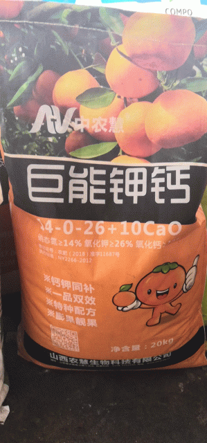 更多照片