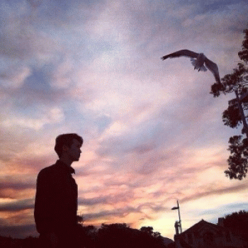 广西义法企业管理有限公司招聘：公司标志 logo