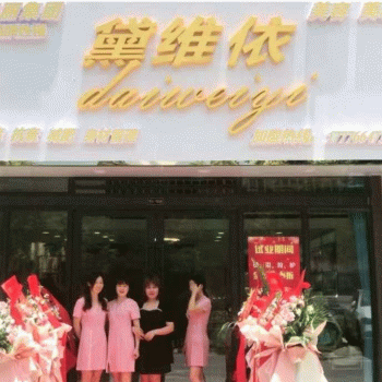 【黛维依】广西南宁花堤美容有限公司招聘：公司标志 logo