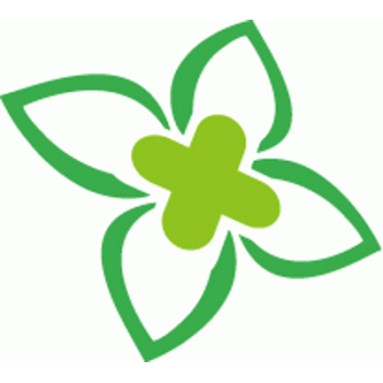 广西南宁新洋信息技术有限公司招聘：公司标志 logo