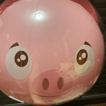 桂林市七星区糖胡芦牛杂店招聘：公司标志 logo