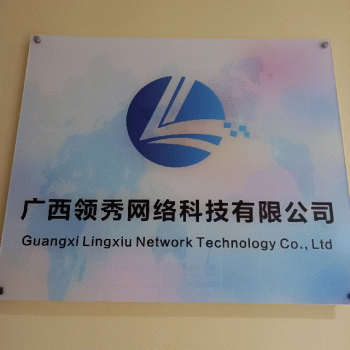 【领秀网络】广西领秀网络科技有限公司招聘：公司标志 logo