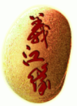 临桂县义江旅游开发有限责任公司招聘：公司标志 logo