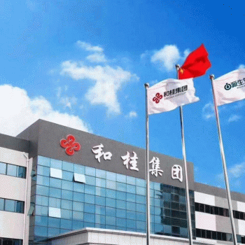 【和桂集团】广西和桂集团有限公司招聘：公司标志 logo