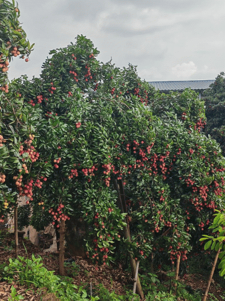 團(tuán)建風(fēng)采